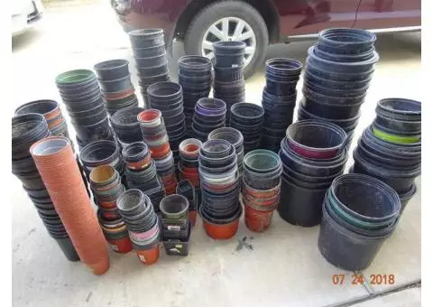 Used Black Plastic Pots